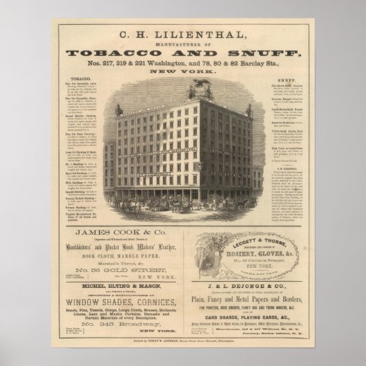 CH Lilienthal Poster (Vorne)