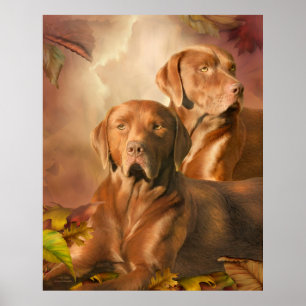 Cha Cha - The Chocolate Labrador Art Poster/Print Poster