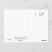 Chacchoban Pyramid Postkarte (Rückseite)