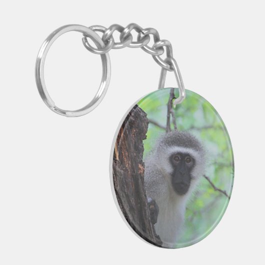 Chacma Baboon Schlüsselanhänger (Vorderseite links)