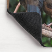 Chaco Chachalacas Mousepad (Ecke)