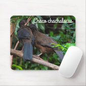 Chaco Chachalacas Mousepad (Mit Mouse)