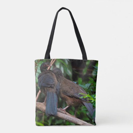 Chaco chachalacas tasche (Rückseite)