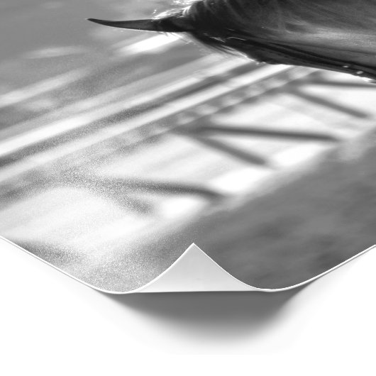 Chad Brown Workouts Fotodruck (Ecke)