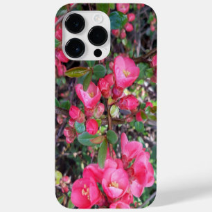 Chaenomeles japonica, Zierquitte Case-Mate iPhone 14 Pro Max Hülle