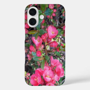Chaenomeles japonica, Zierquitte iPhone 16 Hülle