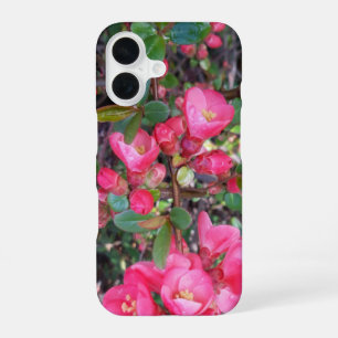 Chaenomeles japonica, Zierquitte iPhone 16 Hülle