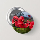 Chaenomeles speciosa Abzeichen Button (Vorne & Hinten)