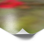 Chaenomeles speciosa fotodruck (Ecke)