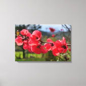 Chaenomeles speciosa leinwanddruck (Vorderseite)