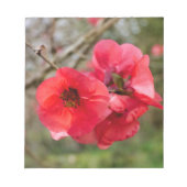 Chaenomeles speciosa notizblock (Vorderseite)