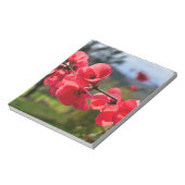 Chaenomeles speciosa notizblock (Rotiert)