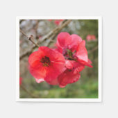 Chaenomeles speciosa Paper Napkins Serviette (Vorderseite)