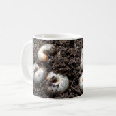 Chafer Larva Bug Tasse (Vorderseite Links)