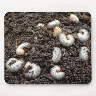 Chafer Larva Mouse Mat Mousepad