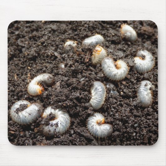 Chafer Larva Mouse Mat Mousepad (Vorne)