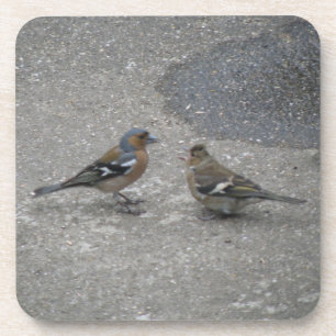 Chaffinch Fütterte Me Cork Untersetzer