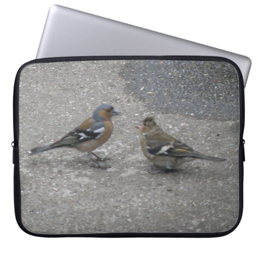 Chaffinch Fütterte Me Laptop Bag Laptopschutzhülle (Vorderseite)