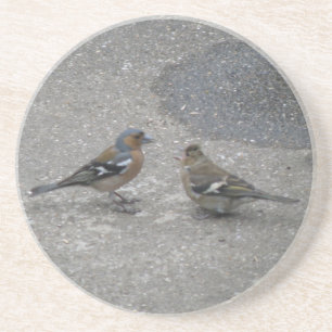 Chaffinch Füttre mir Untersetzer