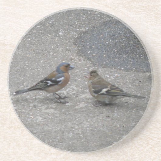 Chaffinch Füttre mir Untersetzer (Vorne)