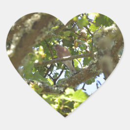 Chaffinch Herz-Aufkleber
