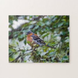 Chaffinch Jigsaw Puzzle
