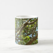 Chaffinch Kaffeetasse (Mittel)