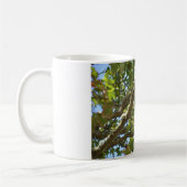 Chaffinch Kaffeetasse (Links)