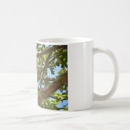 Chaffinch Kaffeetasse