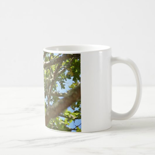 Chaffinch Kaffeetasse (Rechts)