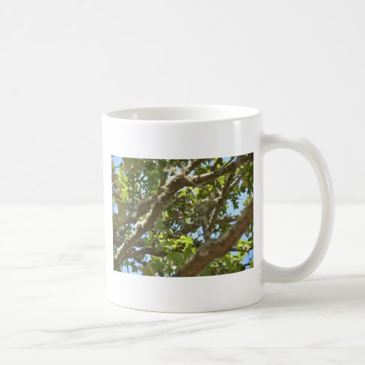 Chaffinch Kaffeetasse (Rechts)