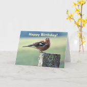 CHAFFINCH KARTE (Gelbe Blume)