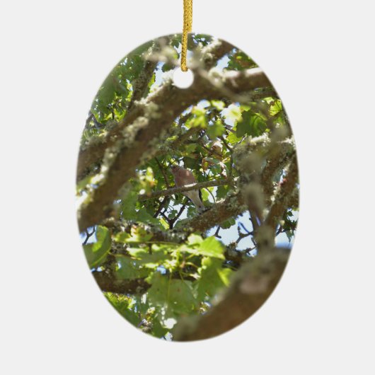 Chaffinch Keramik Ornament (Vorne)