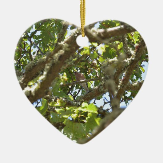 Chaffinch Keramik Ornament (Vorne)