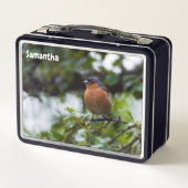 Chaffinch Metal Lunchbox (Rückseite)