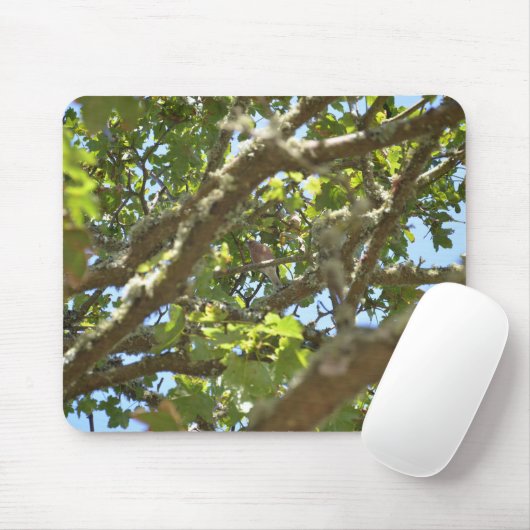 Chaffinch Mousepad (Mit Mouse)