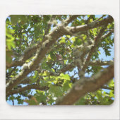 Chaffinch Mousepad (Vorne)