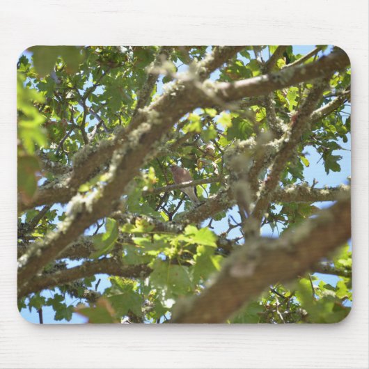 Chaffinch Mousepad (Vorne)