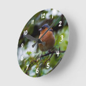 Chaffinch on a branch Acrylic wall clock Runde Wanduhr (Winkel)