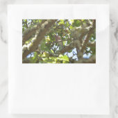 Chaffinch Rechteckiger Aufkleber (Tasche)