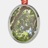 Chaffinch Silbernes Ornament (Links)