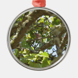 Chaffinch Silbernes Ornament