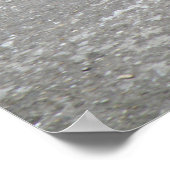 Chaffinch singt für sein Abendessen Print Poster (Ecke)