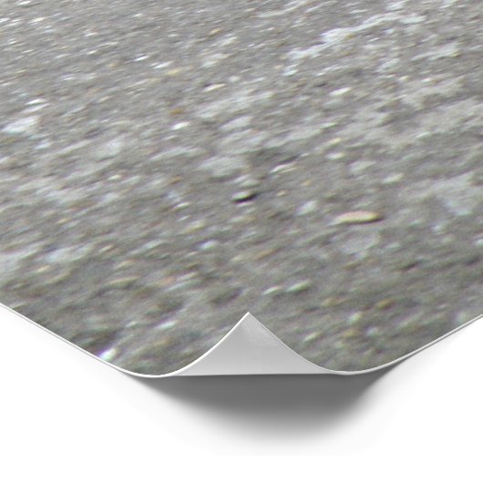 Chaffinch singt für sein Abendessen Print Poster (Ecke)