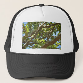 Chaffinch Truckerkappe
