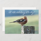 CHAFFINING EINLADUNG (Vorne/Hinten)