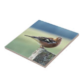 CHAFFINING FLIESE (Seite)