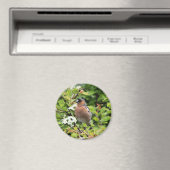 CHAFFINING MAGNET (In Situ (Geschirrspüler))