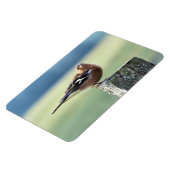 CHAFFINING MAGNET (Linke Seite)