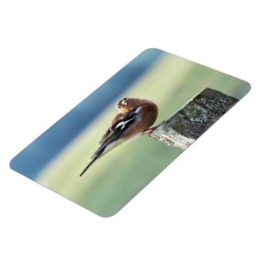 CHAFFINING MAGNET (Linke Seite)